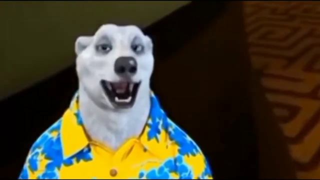 Ходилки Дрочилки разговор о конец саса смотреть онлайн