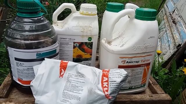 Внимание! Все на борьбу с сорняками. Делаем также по надобности фунгицидно инсектицыдную обработку. смотреть онлайн