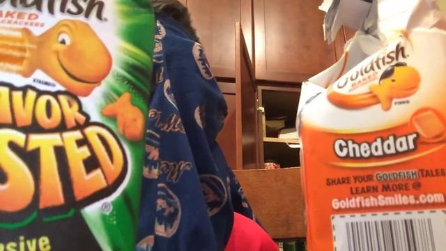 Goldfish challenge 4 goldfish смотреть онлайн