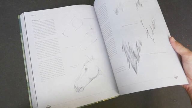 Mythical Beasts: An Artist's Field Guide to Designing Fantasy Creatures смотреть онлайн