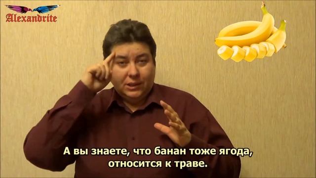 Банан - дерево или трава?_(А вы знаете, что...)_Alexandrite_(рус.суб.) смотреть онлайн
