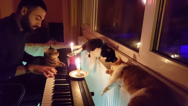 концерт по заявкам смотреть онлайн