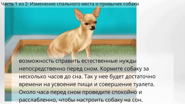 Как уложить собаку спать смотреть онлайн