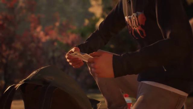 Брат траванулся волчьей ягодой. Life is Strange 2. Episode 1 #2 смотреть онлайн