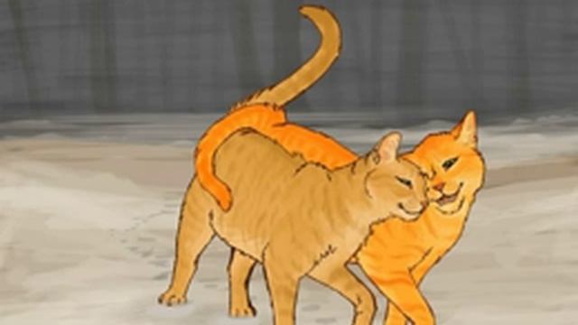 Коты Воители Песчаная буря и Огнезвезд