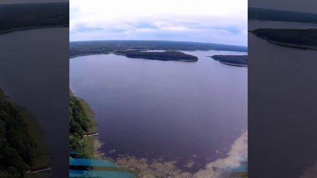 Озеро Свибло, Деревня Старицы, Псковская область 2017г. смотреть онлайн