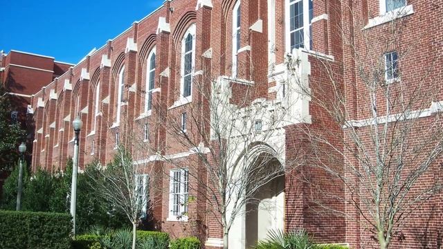 Dispatches From Off the Deaton Path: National Library Week смотреть онлайн