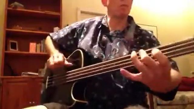 Washburn AB20 Bass смотреть онлайн
