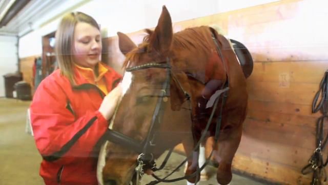 011211YoungDressageRiderjeff.mov смотреть онлайн