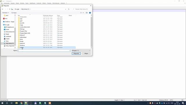 Adatbázis alapú rendszerek - XAMPP telepítése, Oracle Instant Client telepítése смотреть онлайн