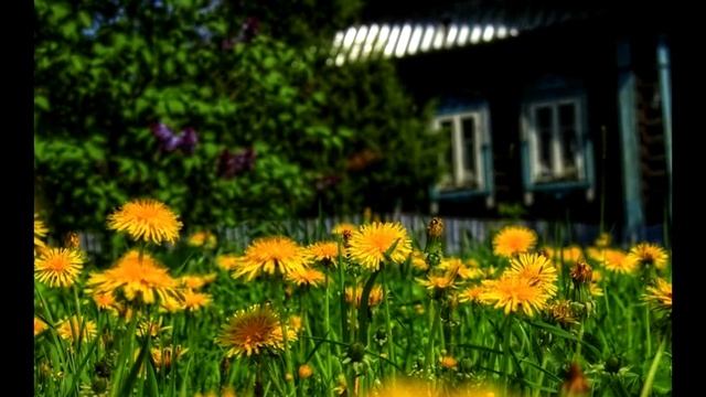 Трава у дома. "Земляне" смотреть онлайн