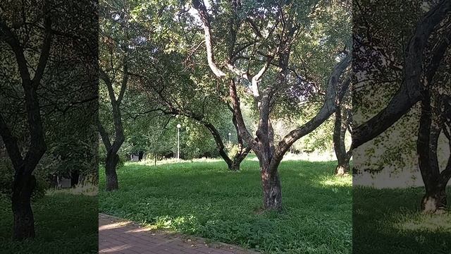 Монолог настоящего мужчины