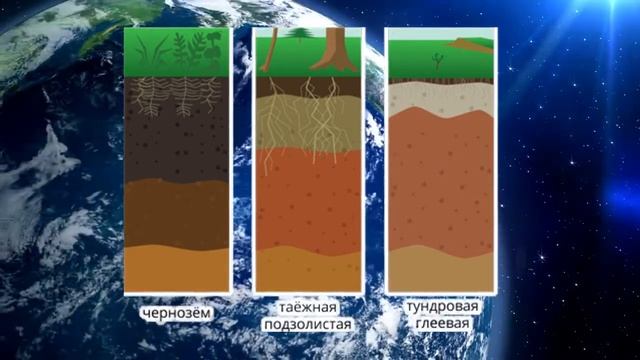 География 5-6кл. §49 "Почвы" смотреть онлайн
