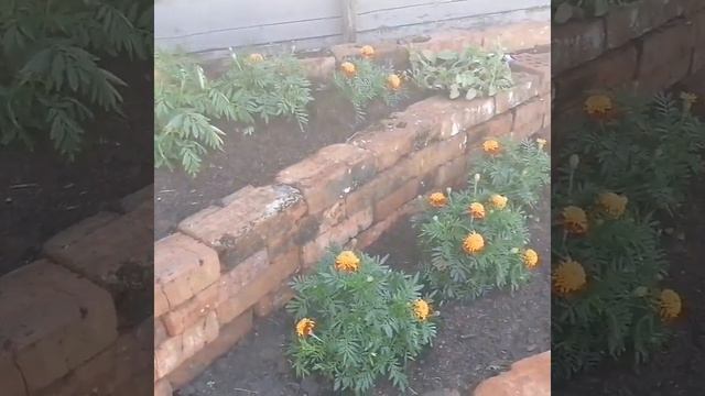 Цветники своими руками из кирпича. Начало работы смотреть онлайн