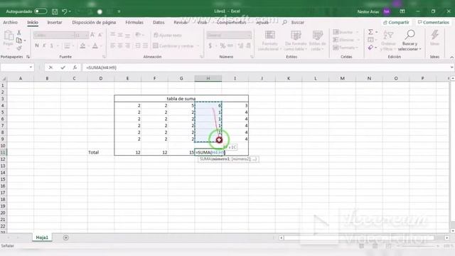 CURSO DE EXCEL BÁSICO NO. 2 смотреть онлайн