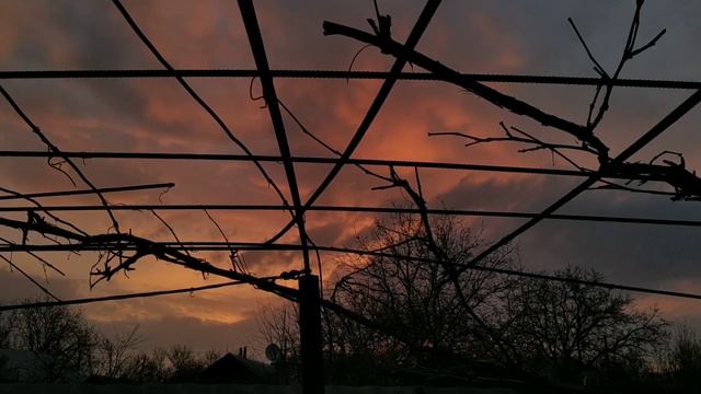 КАЖДЫЙ ДЕНЬ ВСТАЮ В 5 ЧАСОВ УТРА|5 дней влогов| уроки|прогулки|медитации смотреть онлайн