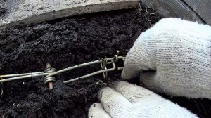 Как быстро поймать крота на даче