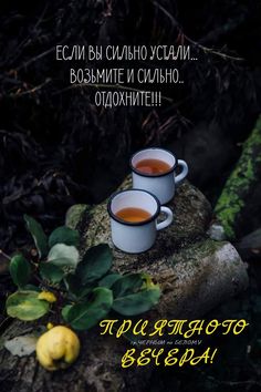 Хороший вечер проведи,
С улыбкой легкой отдохни,
Желаю провести легко,
С уютом в сердце и тепло. смотреть онлайн