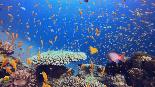 Расслабляющая музыка лечит болезни сердца и сосудов - Нежная музыка, успокаивает нервную систему #7 смотреть онлайн