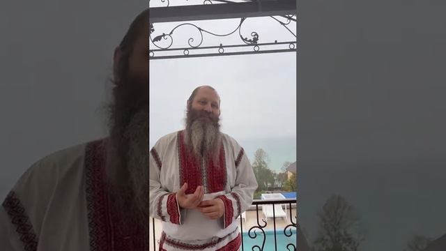 ОТЗЫВ ВЛАДИСЛАВА ДОБРЫНИНА О ШКОЛЕ НАСТАВНИКОВ смотреть онлайн