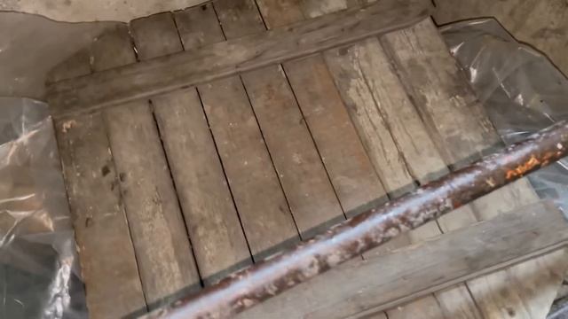 Плов с жёлтой морковкой?. Готовим вкусный ужин! смотреть онлайн