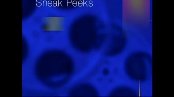 Brother Bear USA DVD Walkthrough