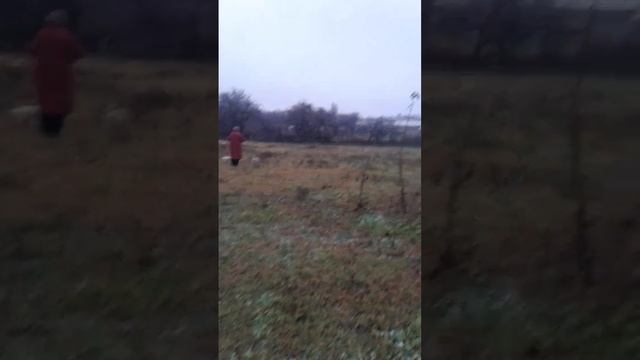 Давно обещанные стихи Дементьева смотреть онлайн