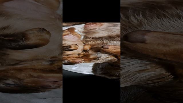 закайфовала с мамкой рядом? смотреть онлайн