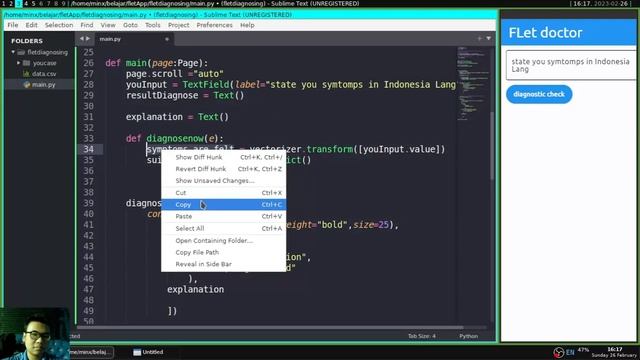 Flet Tutorial - Create Disease Diagnostic App смотреть онлайн