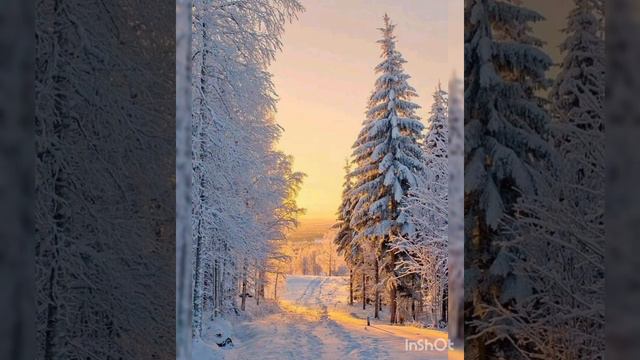 Братья Борисенко "Колдовала зима". Новогодняя песня. смотреть онлайн