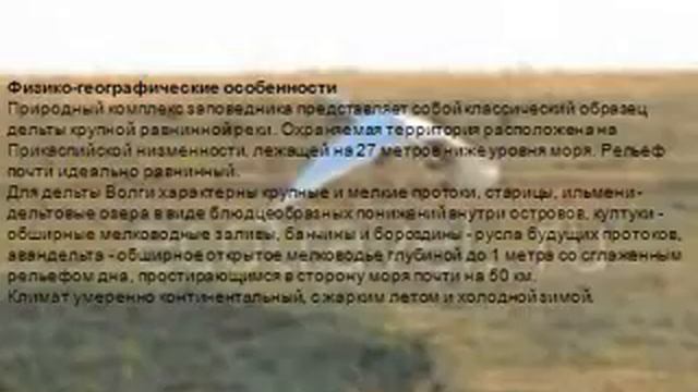 Астраханский заповедник смотреть онлайн