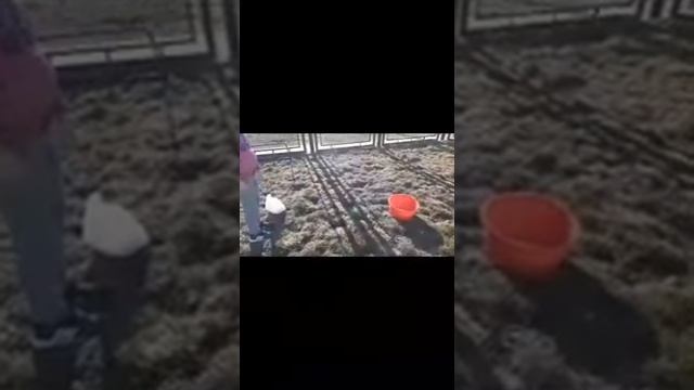 SALA VERDE TM - JUEGO DE EMBOQUE CON TANTEADOR смотреть онлайн