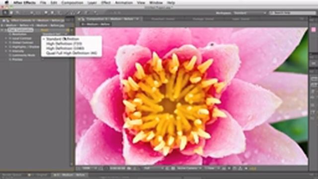 Fixel Contrastica Plugin Demo смотреть онлайн