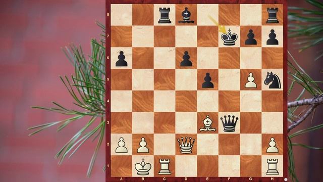 Инструкция инициативной игры в шахматы смотреть онлайн