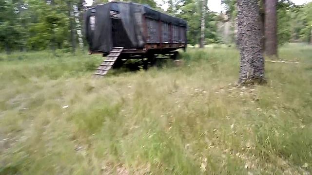 Поведение карники в Альпийских Н108 смотреть онлайн