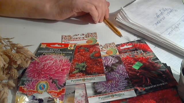 Хобби, приносящее доход.Обзор семян.Астра на срезку. смотреть онлайн