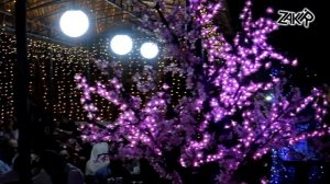 Зарема Абдуллаева - Салам тебе!