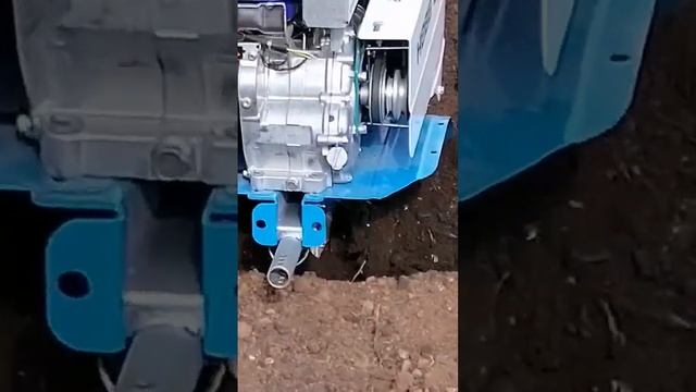 Нева мб 23 ? смотреть онлайн