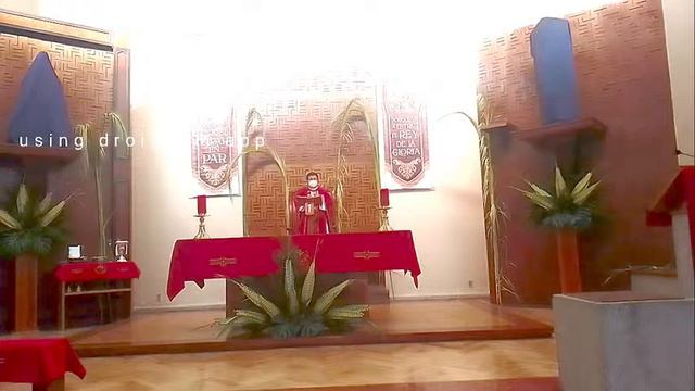 Celebración Eucarística, Domingo De Ramos De La Pasión Del Señor, 8:00 Am