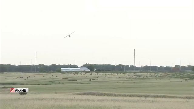 Около 5 млн рублей в этом году потратят на мероприятия по борьбе с саранчой в Дагестане смотреть онлайн
