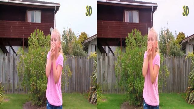 sbs SONY HDR TD10 3D DEMO смотреть онлайн