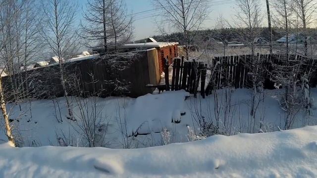Защита при нападении собак на велосипедиста смотреть онлайн
