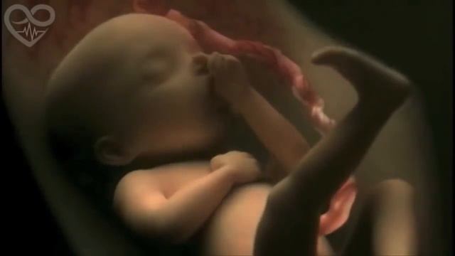 6 раса Звёздные Дети смотреть онлайн