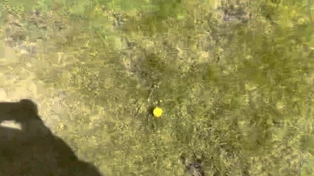 День рождения с Басиком | Праздник с Басиком смотреть онлайн