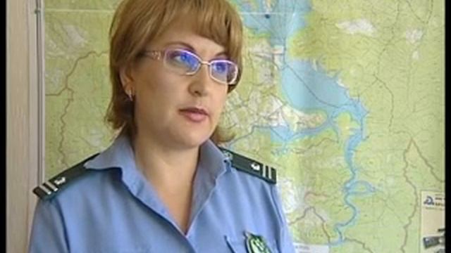 Качество рыбы смотреть онлайн