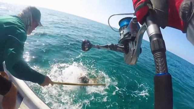 Кого можно поймать в открытом море и не потратить много денег? Рыболовный туризм на Кубе. Часть 1. смотреть онлайн