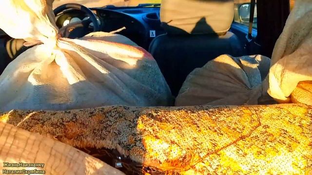 ВЕЧЕРНЕЕ КОРМЛЕНИЕ ПТИЦЫ.ЦВЕТЫ СО СВОЕЙ КЛУМБЫ.ПОДГОТОВКА ЗЕМЛИ В НОВОЙ ТЕПЛИЦЕ.МАЙ. смотреть онлайн