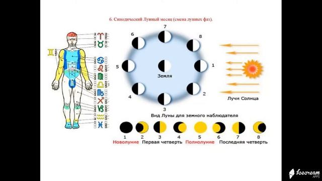 Презентация 