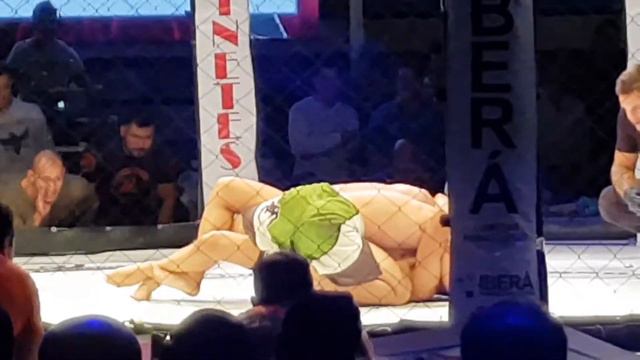 Gabriel "El Gringo" Ziller vs. Diego de la Cruz смотреть онлайн