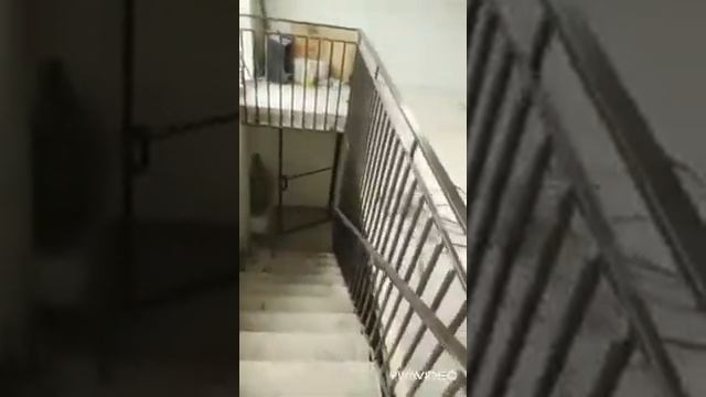 Лестница перила смотреть онлайн